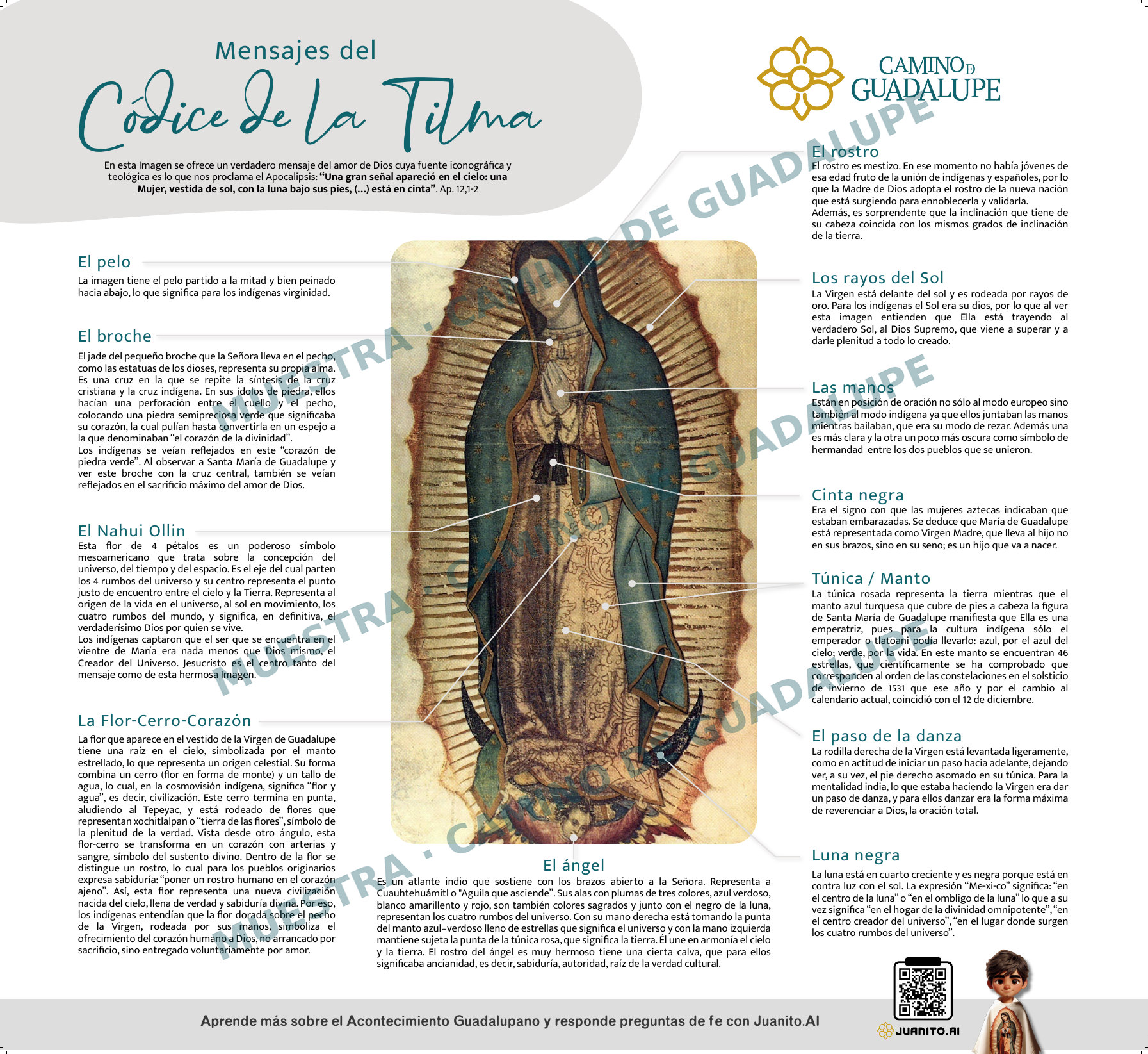 Cartel 9: Mensajes del Códice de la Tilma
