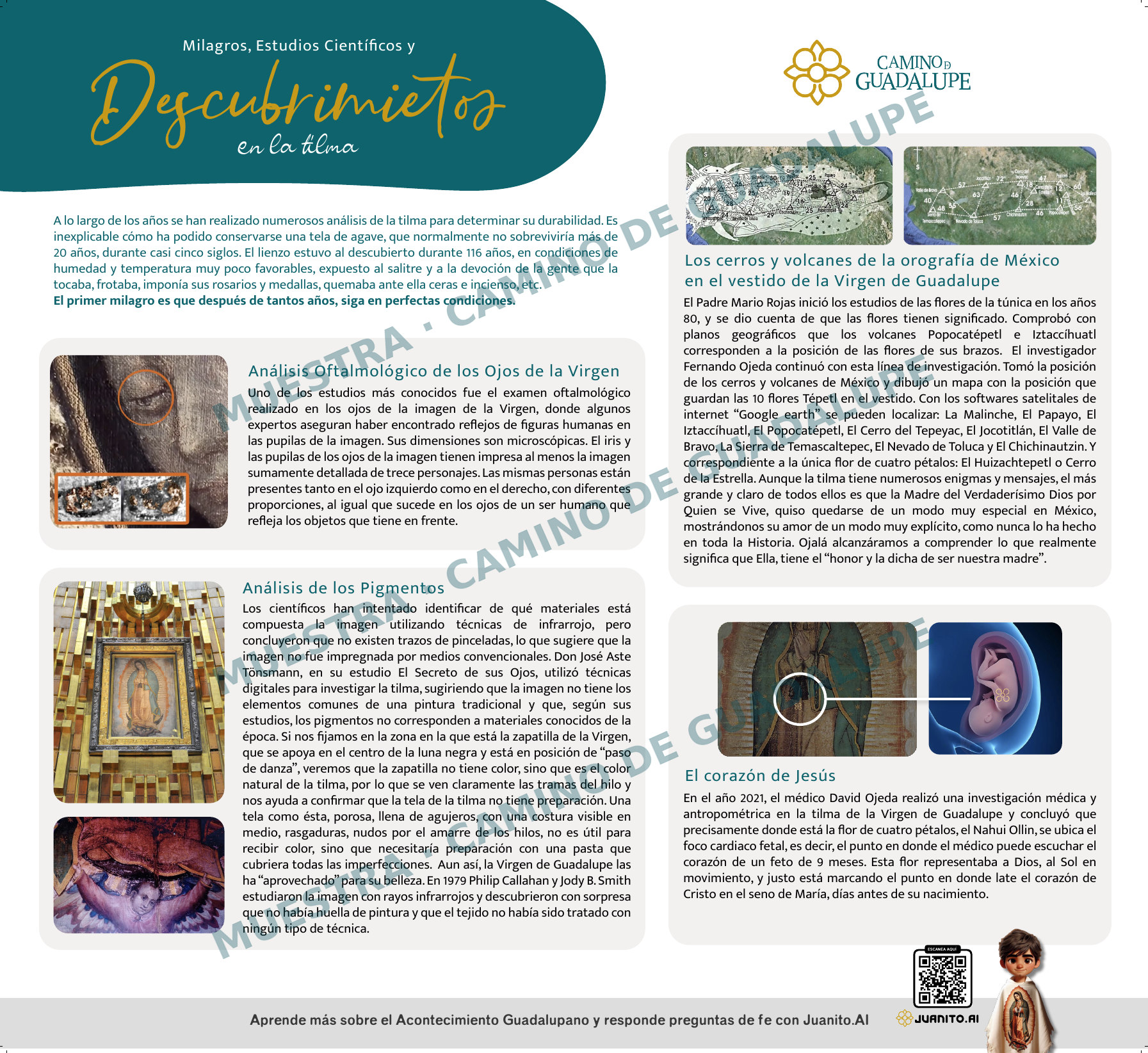 Cartel 10: Descubrimientos en la tilma