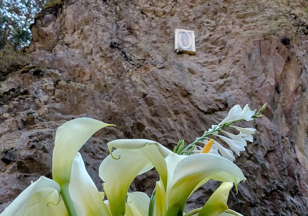 camino-de-guadalupe-oracion-el-minero